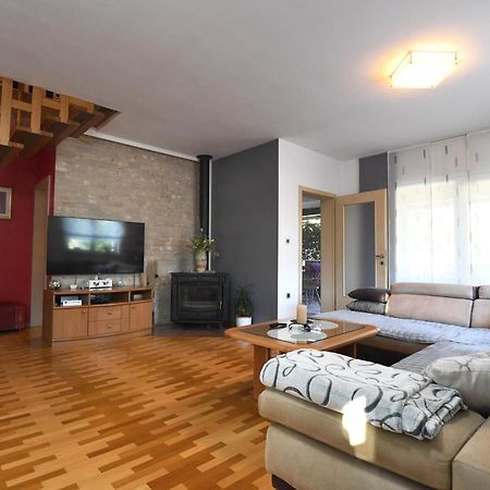 Villa Tinov Dvor Brisevo Εξωτερικό φωτογραφία