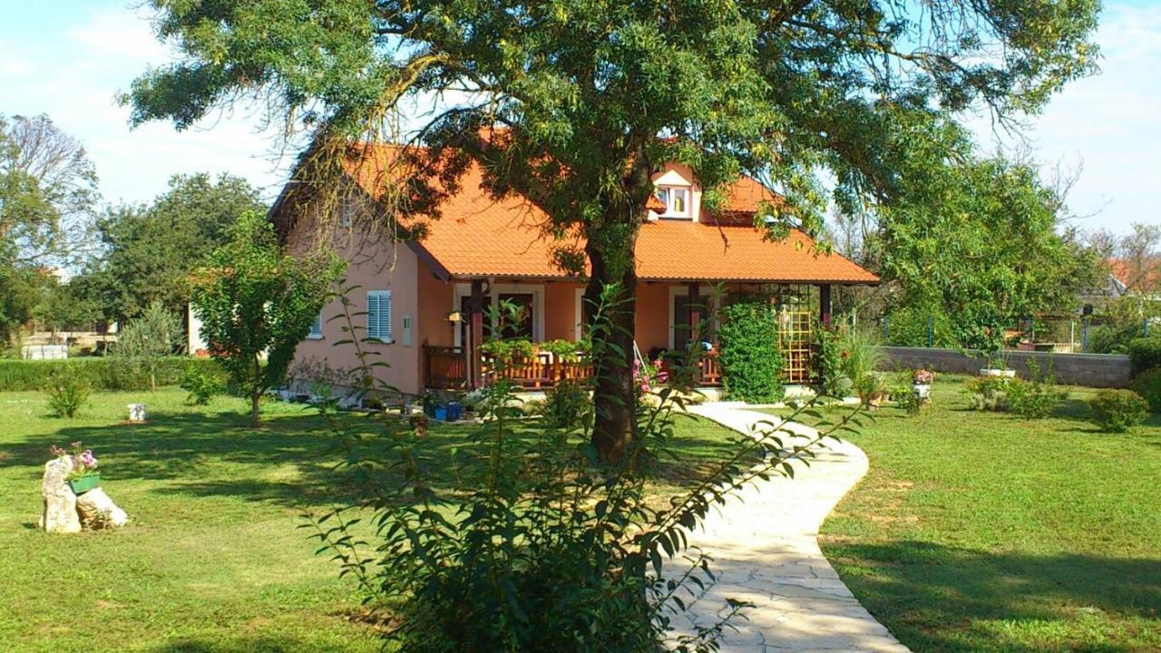 Villa Tinov Dvor Brisevo Εξωτερικό φωτογραφία