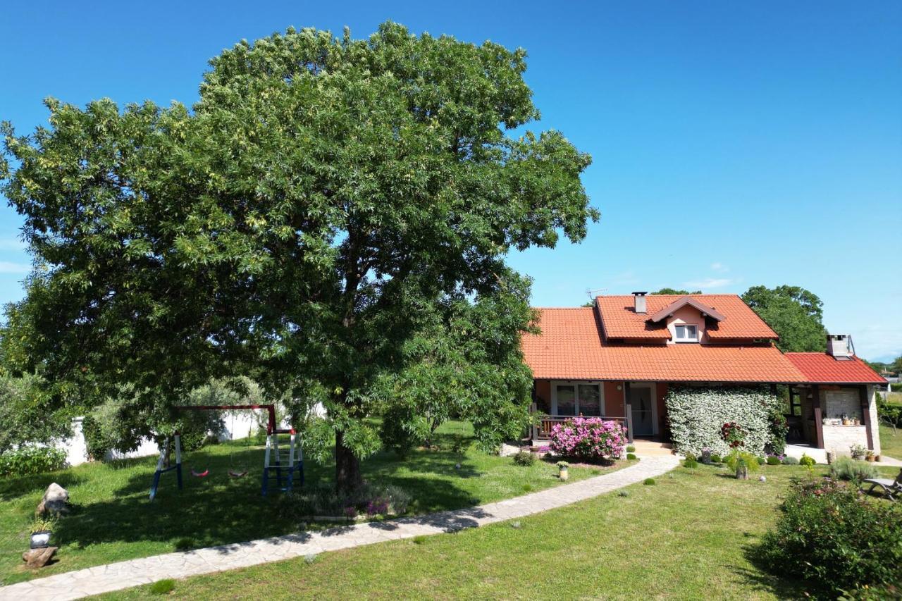 Villa Tinov Dvor Brisevo Εξωτερικό φωτογραφία