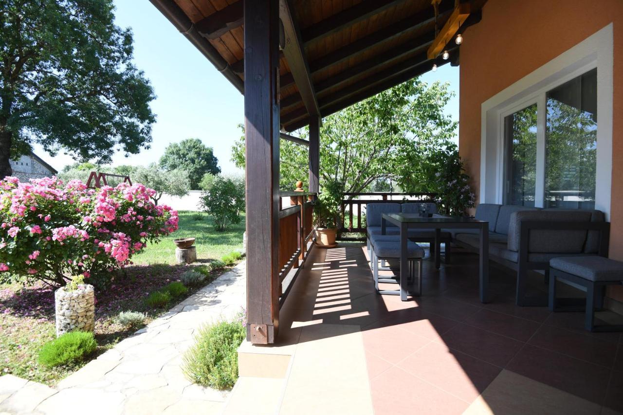 Villa Tinov Dvor Brisevo Εξωτερικό φωτογραφία